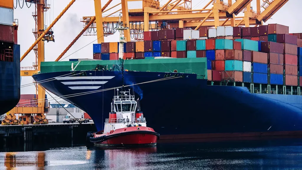 experto univercitario transporte maritimo puertos